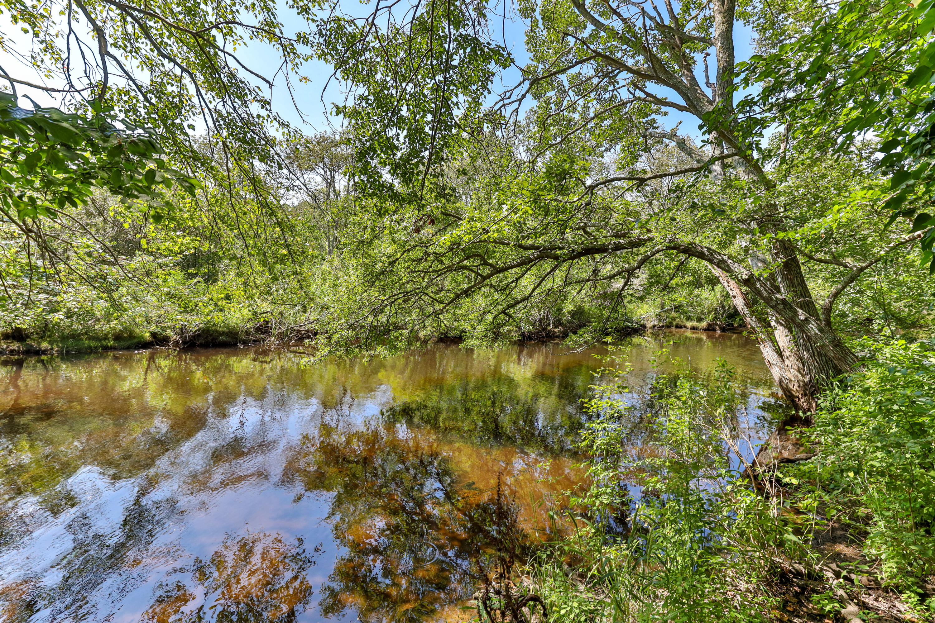 9 Green Pond Road East Falmouth, MA 02536 - Photo 36 of 46 a view of lake