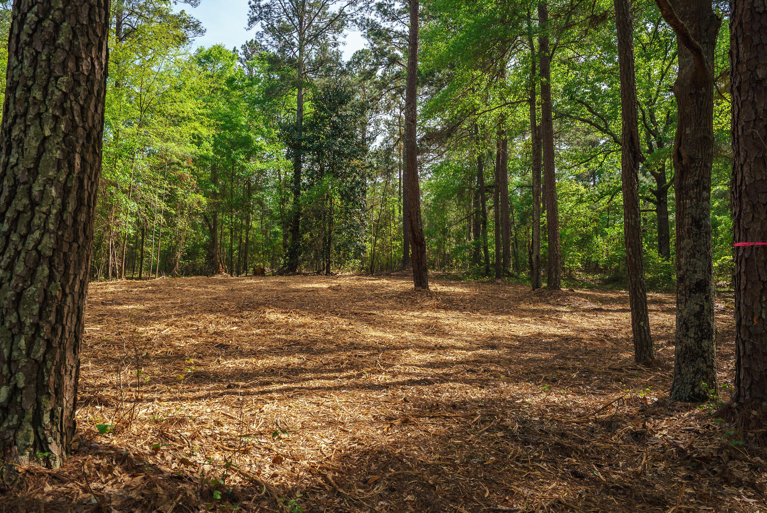 Lot 3 Banks Mill Road Southeast Aiken, SC 29803 - Photo 29 of 42