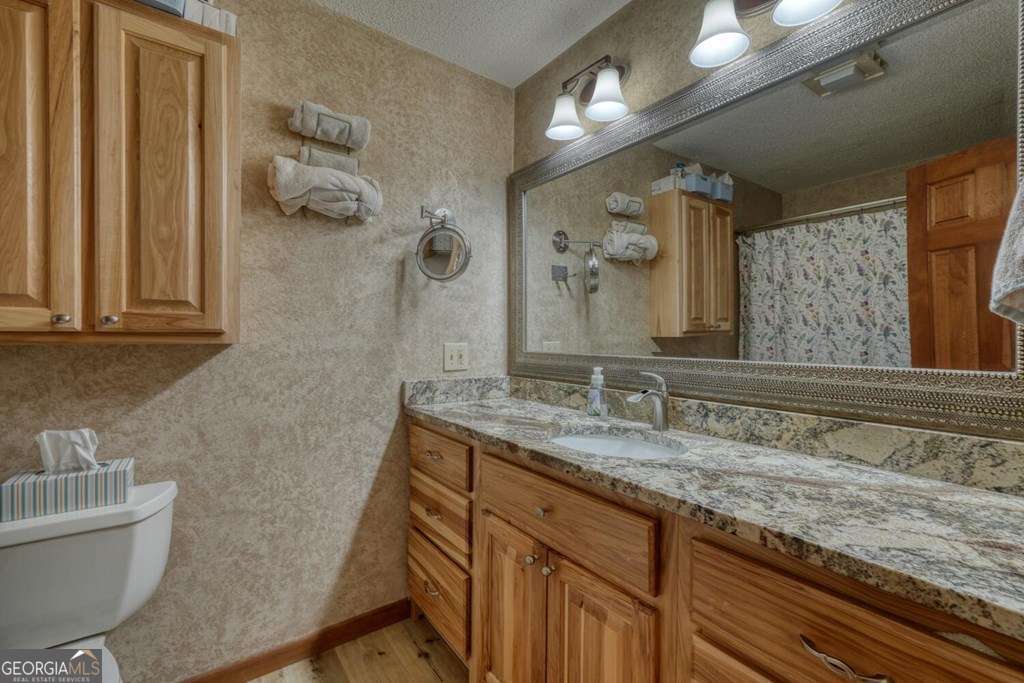 241 Kilpatrick Point Drive, Unit 8 Hayesville, NC 28904 - Photo 27 of 54 a bathroom with a granite countertop sink a toilet a mirror and bathtub