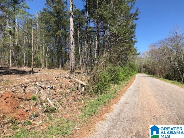 O Ridge Road, Unit 10 ACRES Odenville, AL 35120 - Photo 12 of 18 Gallery Image 12