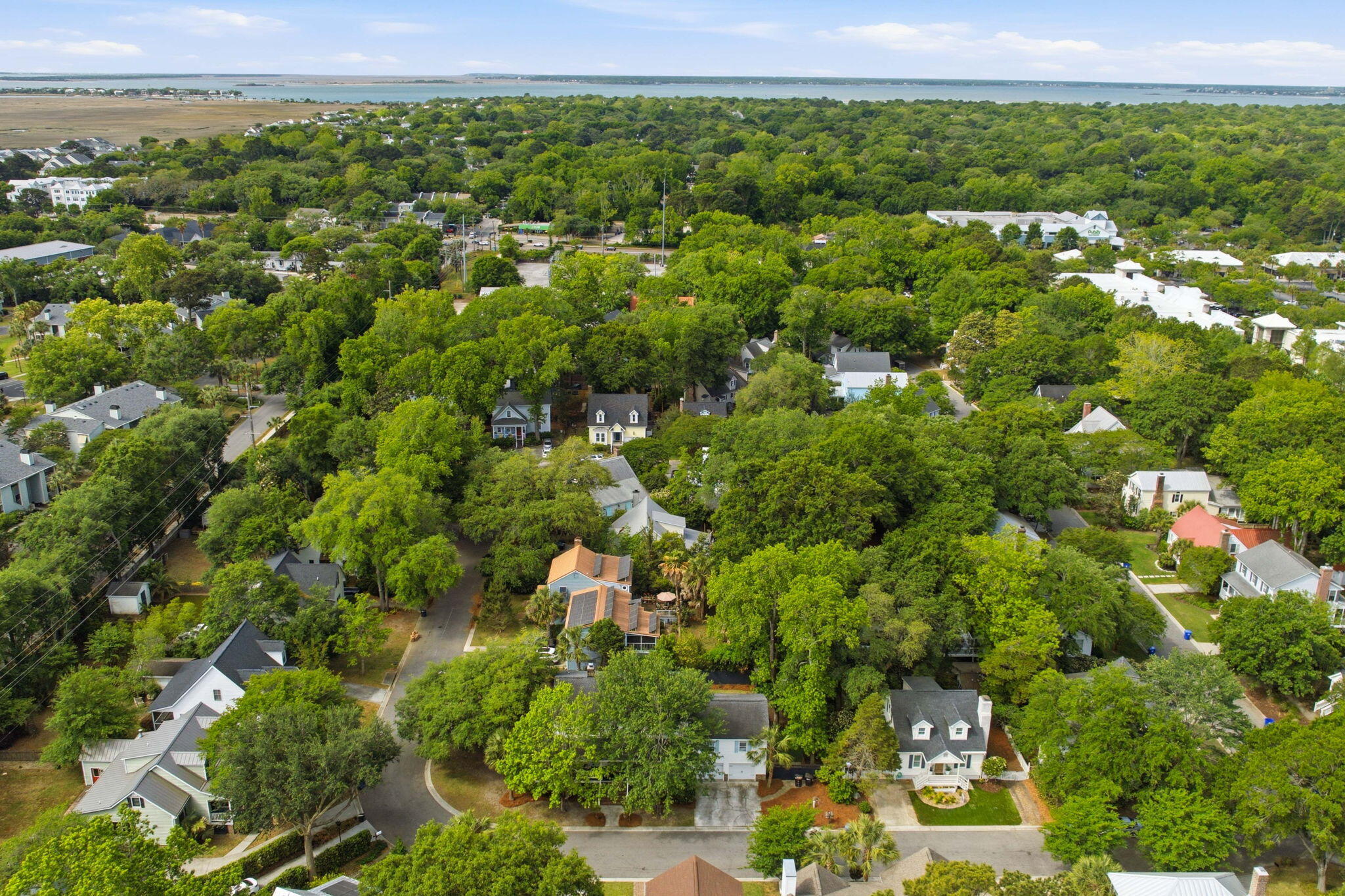 1503 Village Square Mount Pleasant, SC 29464 - Photo 65 of 68 65-web-or-mls-DJI_0200