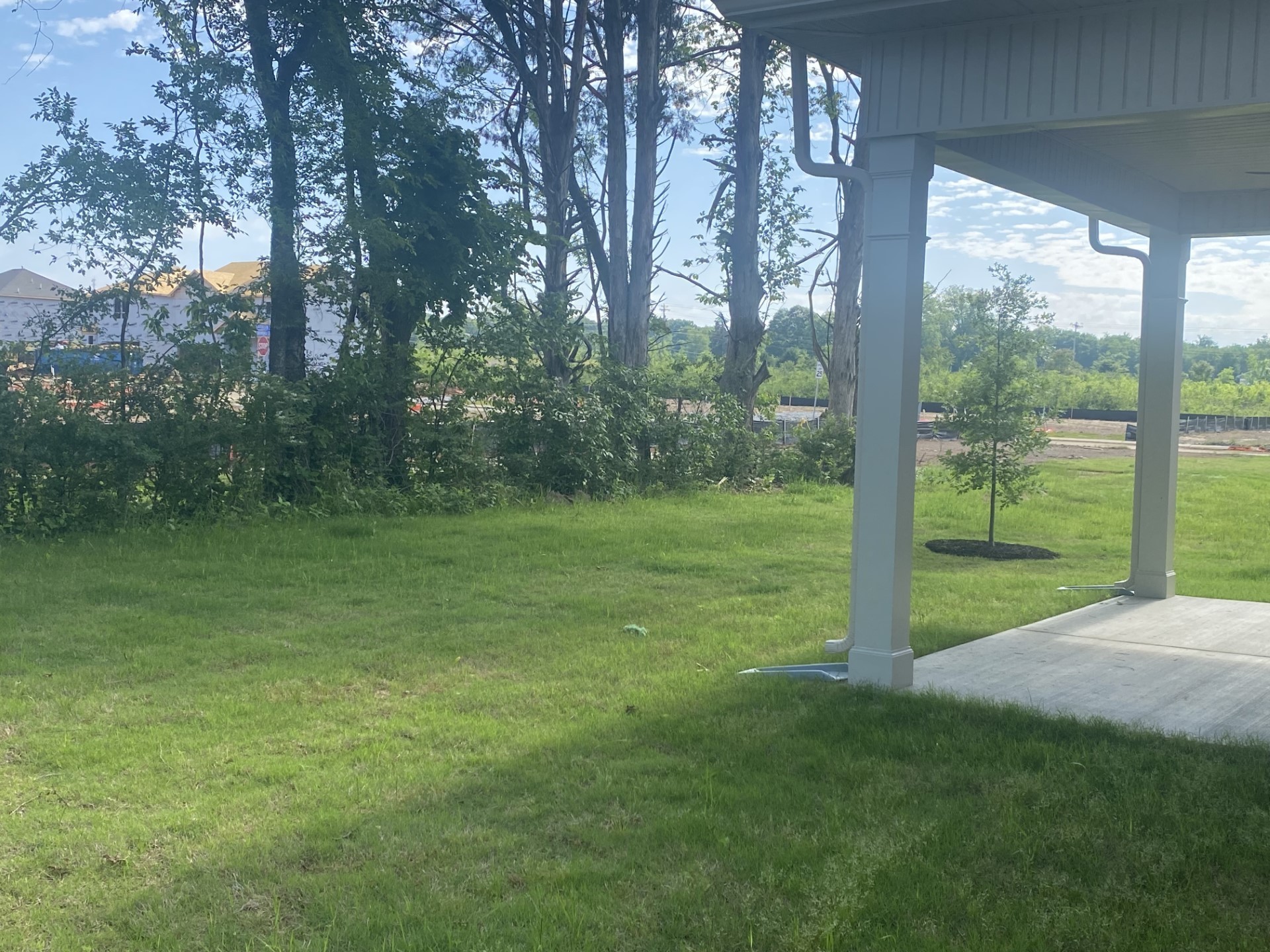 247 Ruby Cate Way Murfreesboro, TN 37128 - Photo 10 of 10 a view of a trees with a yard