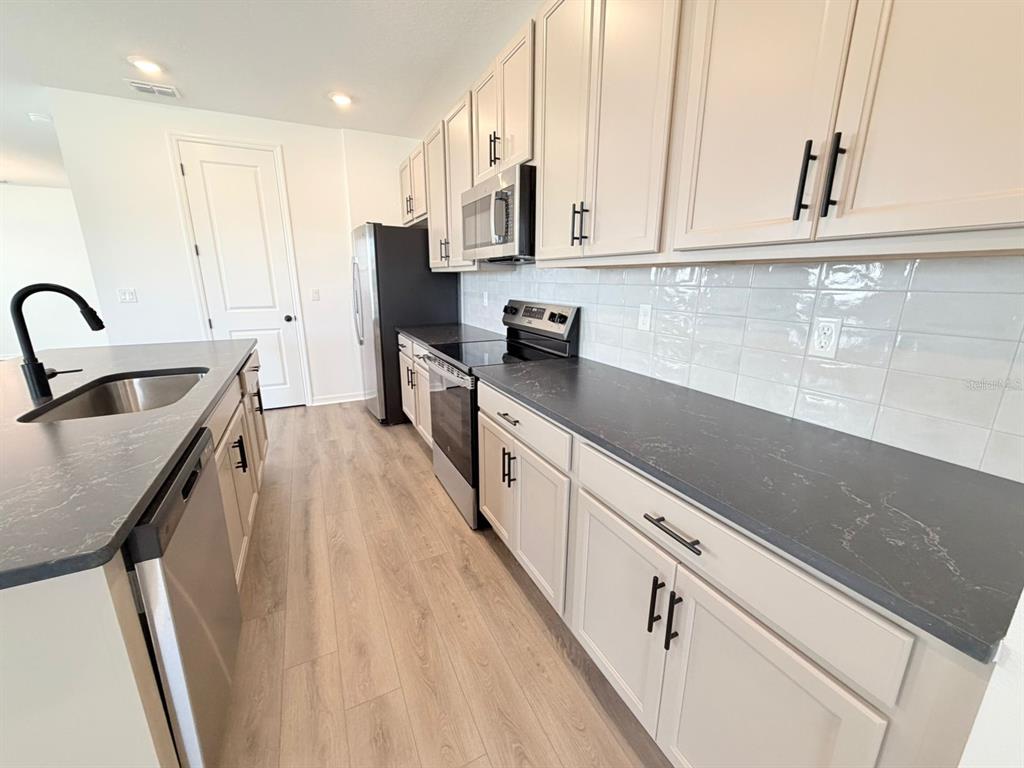 30155 Rustic Mill St Mount Mount Dora, FL 32757 - Photo 6 of 20 a kitchen with granite countertop white cabinets and stainless steel appliances