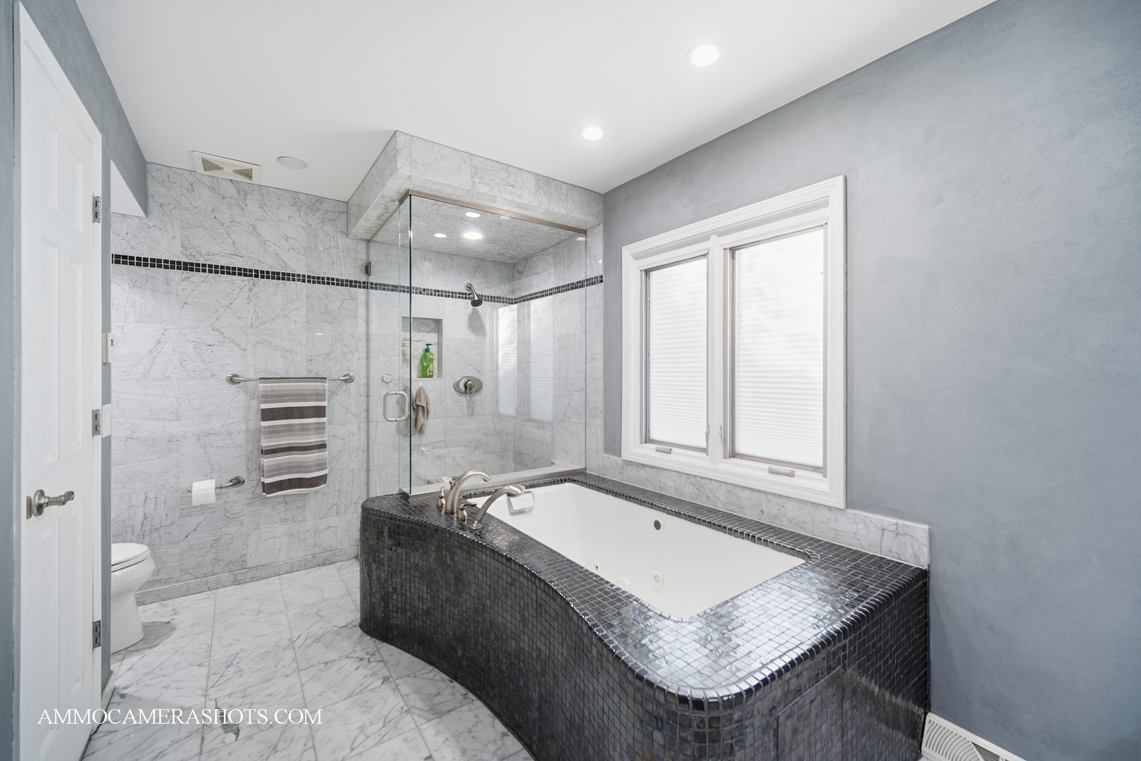 12 Highgate Court St. Charles, IL 60174 - Photo 33 of 60 a bathroom with a granite countertop sink a toilet and shower