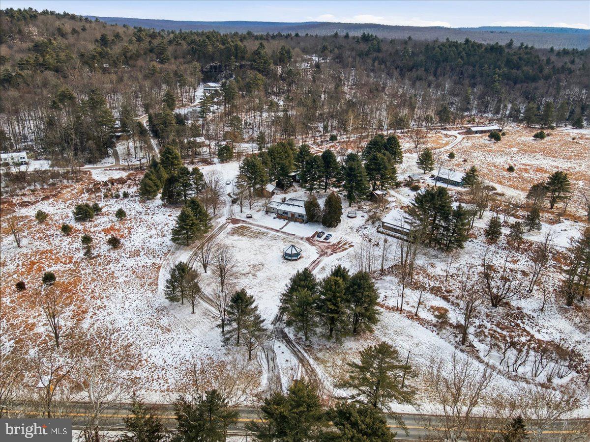 159 Colony Villiage Cresco, PA 18326 - Photo 36 of 105