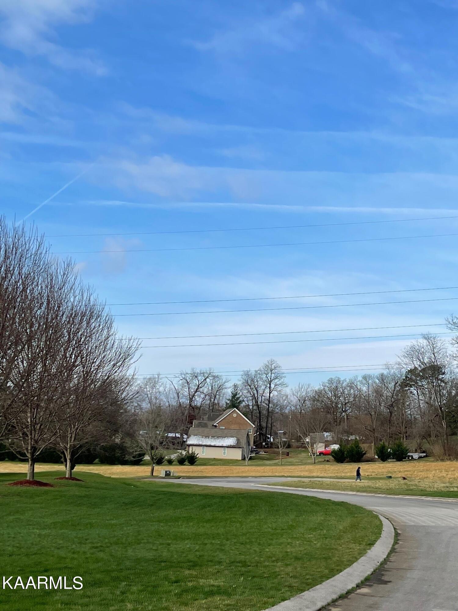 Lot 7 Mint Road Maryville, TN 37803 - Photo 8 of 12 7g