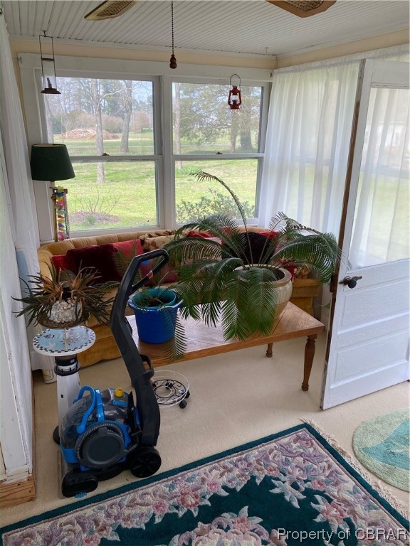 106 Blue Water Road Wake, VA 23176 - Photo 29 of 45 sunroom