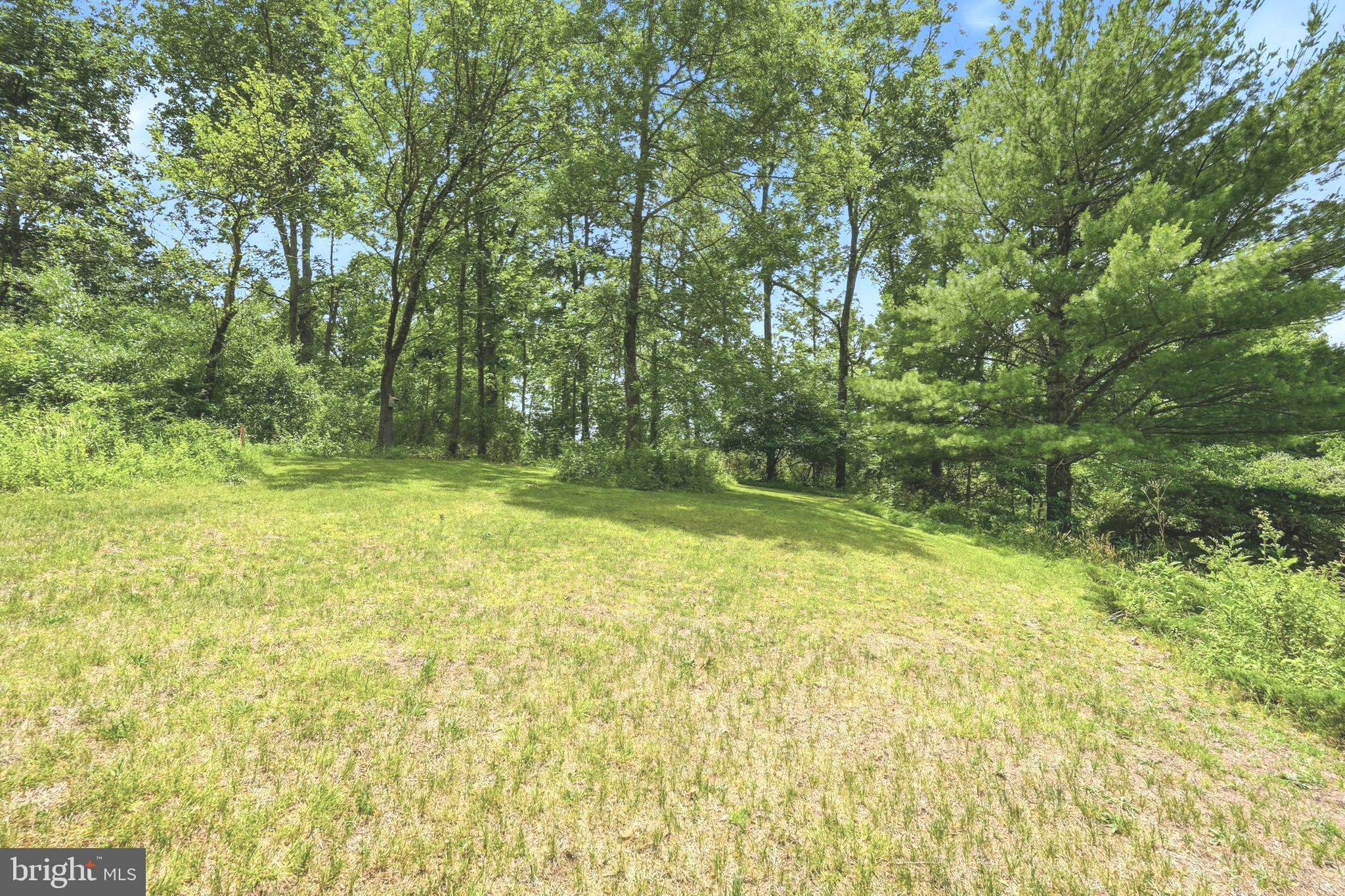58 Center Hill Road Upper Black Eddy, PA 18972 - Photo 9 of 70