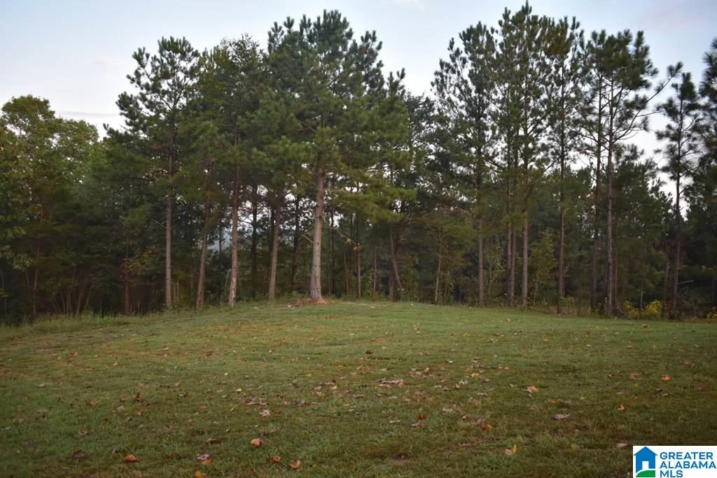 1175 County Road 459 Heflin, AL 36264 - Photo 18 of 21