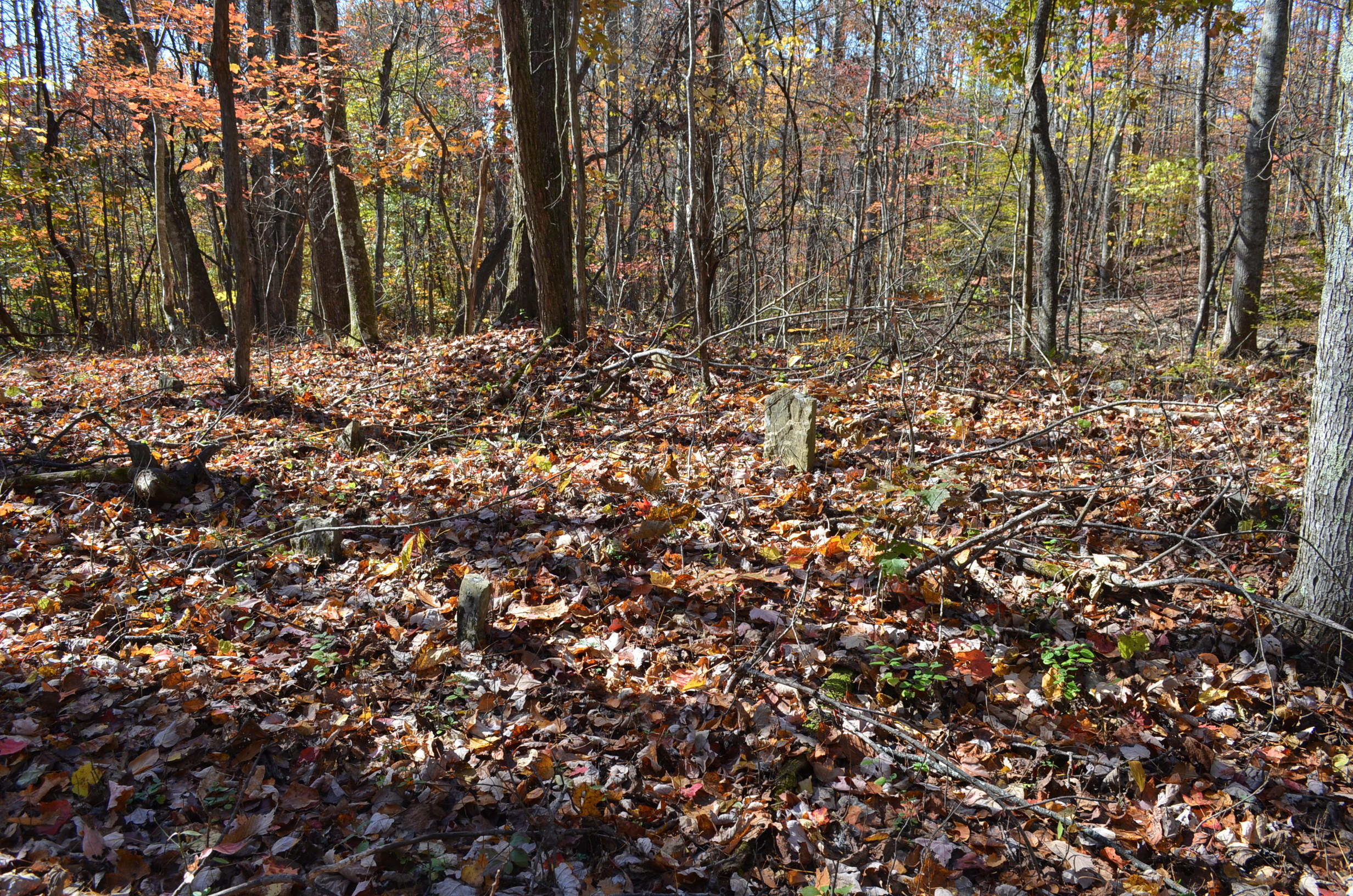 0 East Short Mountain Road Sneedville, TN 37869 - Photo 13 of 16 DSC_0399