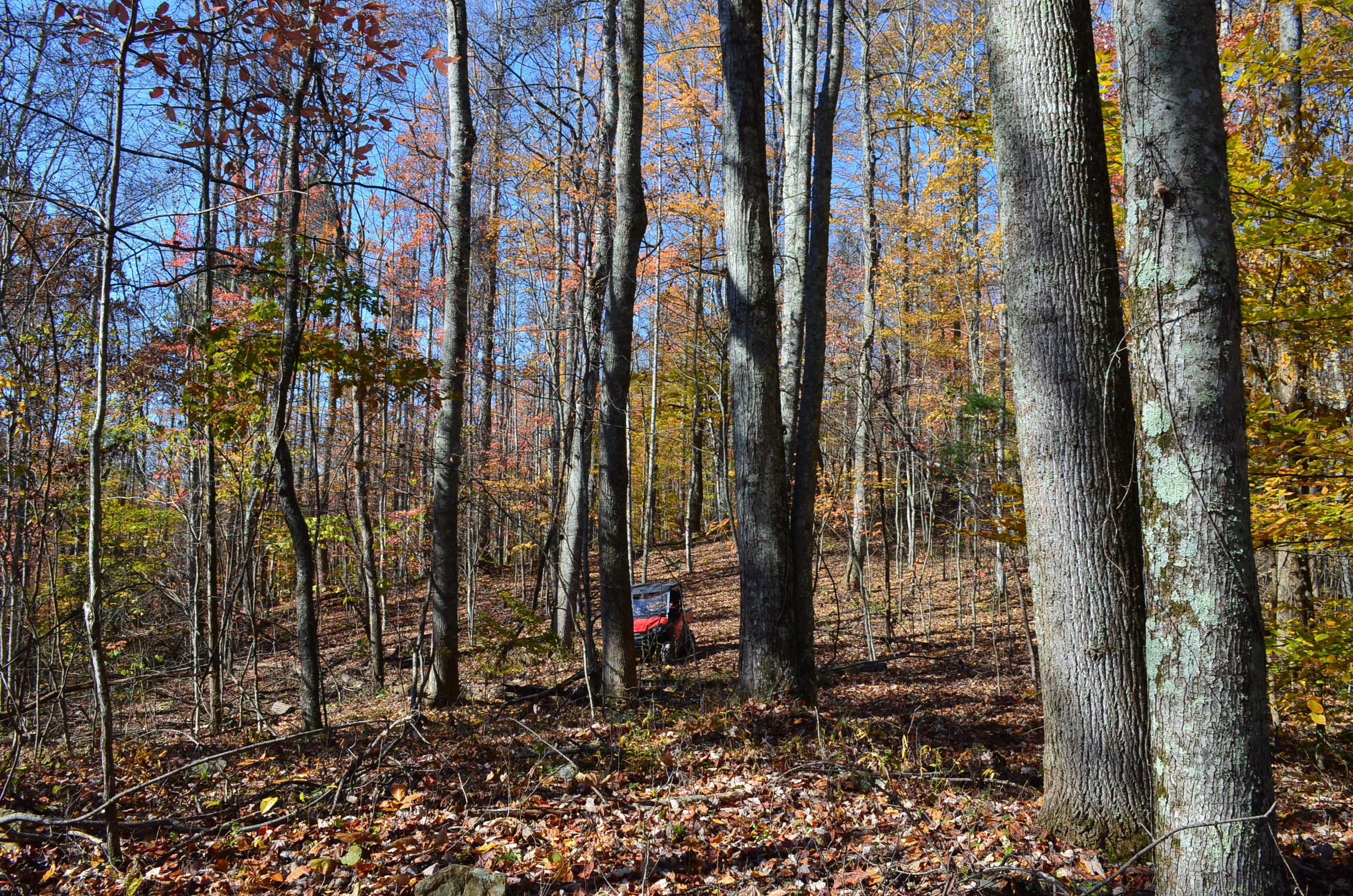 0 East Short Mountain Road Sneedville, TN 37869 - Photo 14 of 16 DSC_0400