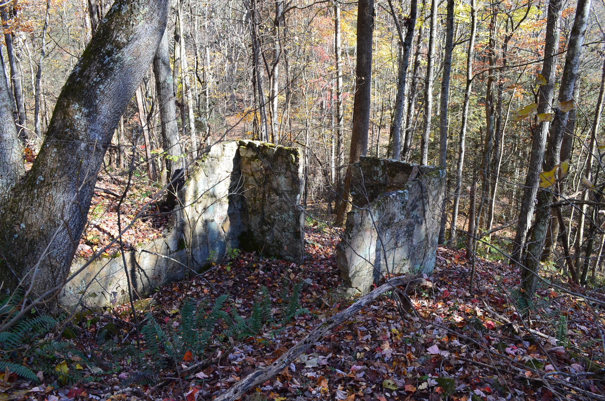 0 East Short Mountain Road Sneedville, TN 37869 - Photo 10 of 16 DSC_0396