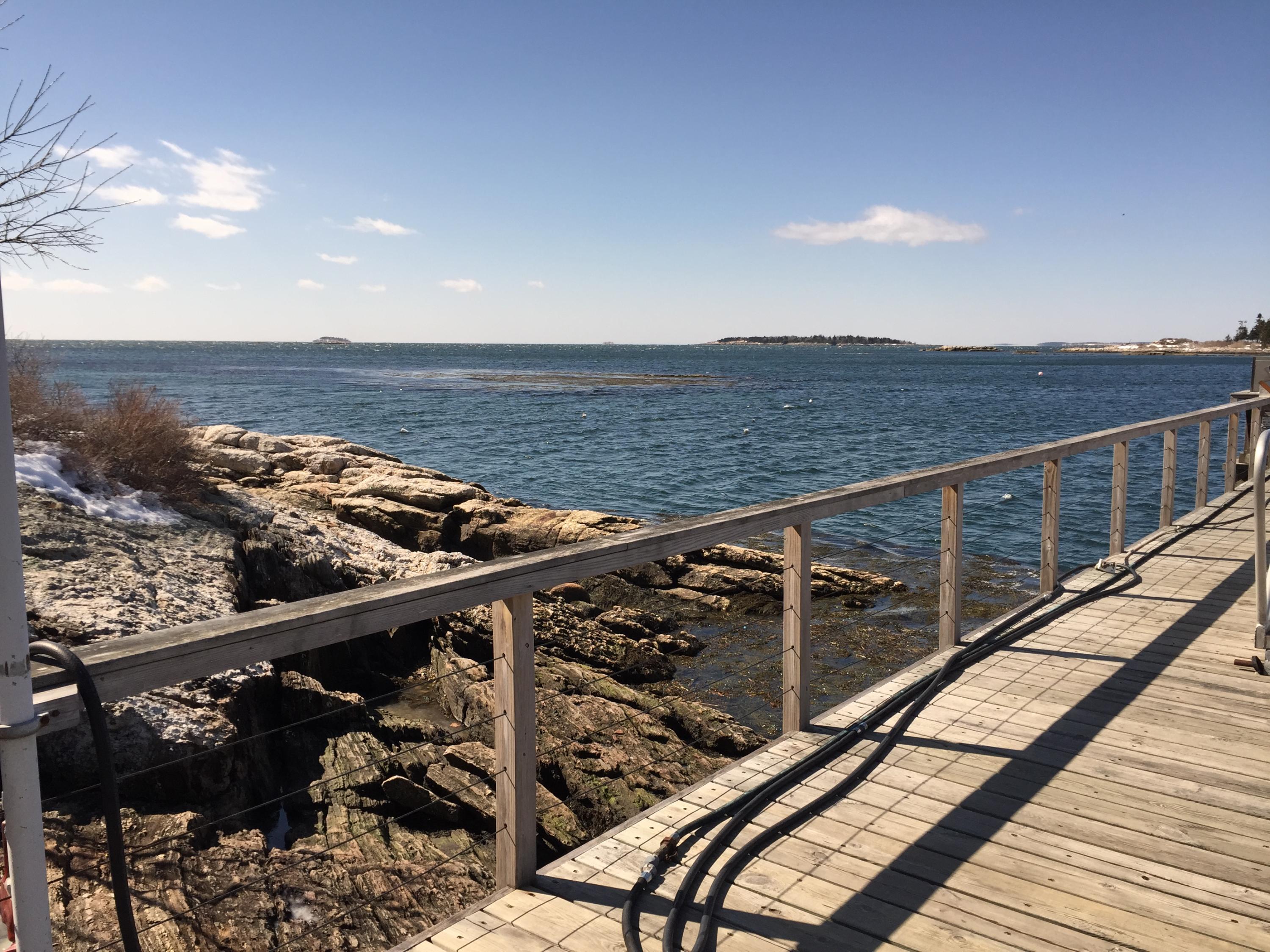 1463 Main Road Phippsburg, ME 04562 - Photo 25 of 27 Sebasco Resort