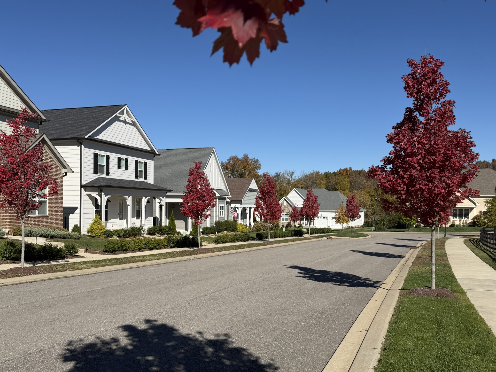 7139 Frances Street Fairview, TN 37062 - Photo 4 of 53