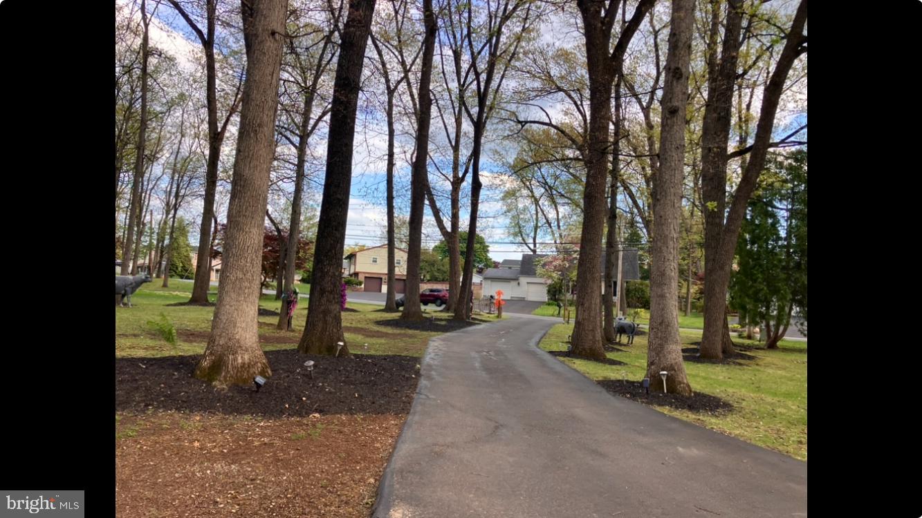 3725 Oakland Road Bethlehem, PA 18020 - Photo 52 of 52 a view of a park with large trees