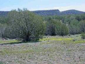 220 West Craig Road Seligman, AZ 86337 - Photo 9 of 9 Additional Photo