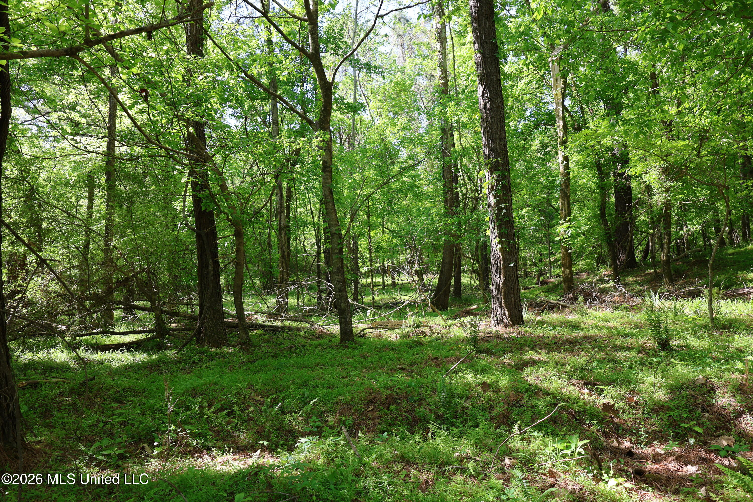 1060 Pearline Bailey Rd Port Port Gibson, MS 39150 - Photo 44 of 63 B41EF73D-5293-4CBE-8596-C349DBF15471