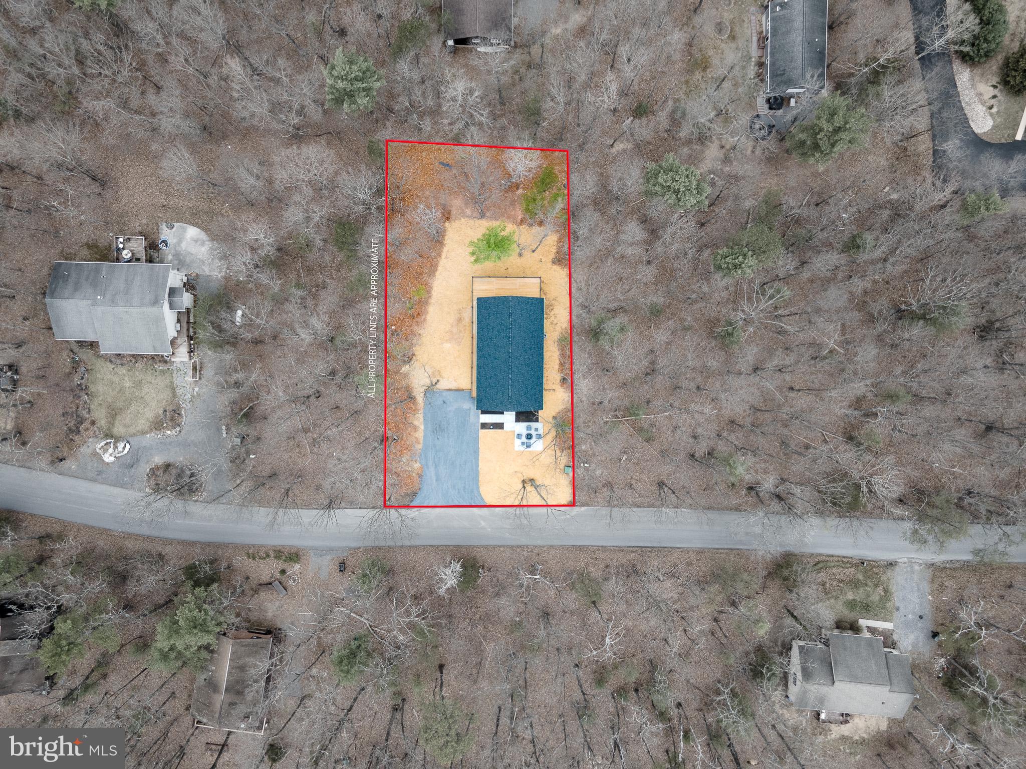 8399 Supinlick Ridge Road Mount Jackson, VA 22842 - Photo 39 of 39 Secluded retreat in wooded serenity.