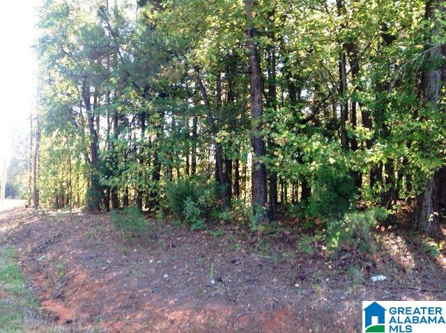 0 Whispering Pines Road, Unit 1 AMD 2 Oxford, AL 36203 - Photo 2 of 30