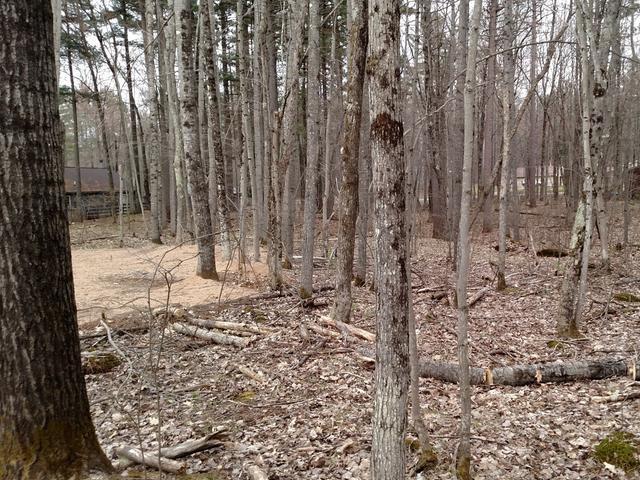 1092 Everett Road Eagle River, WI 54521 - Photo 10 of 13 Gallery Image 10
