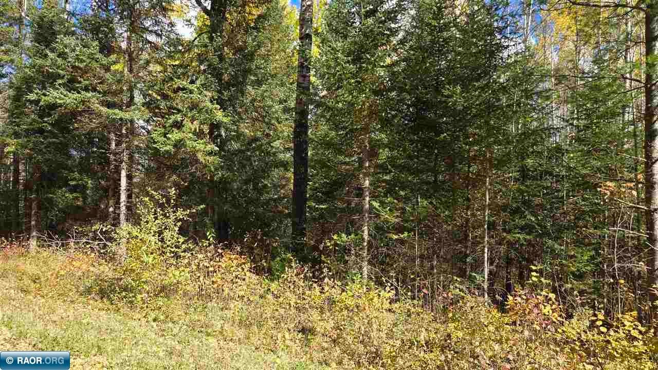 28.9 Rangeline Road Orr, MN 55771 - Photo 23 of 24 Gallery Image 23