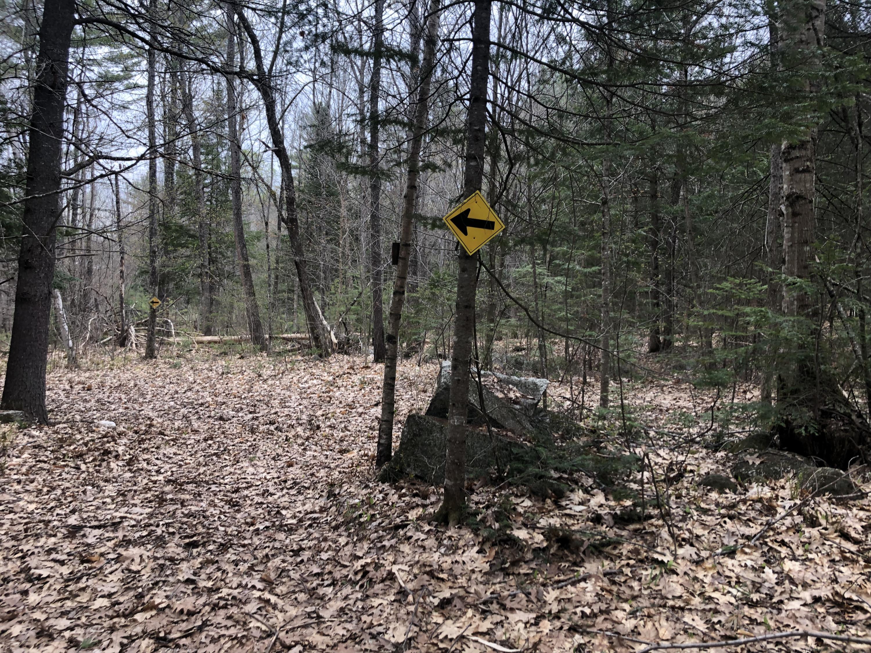 95 Lane Road Mechanic Falls, ME 04256 - Photo 6 of 12 Snowmobile trail
