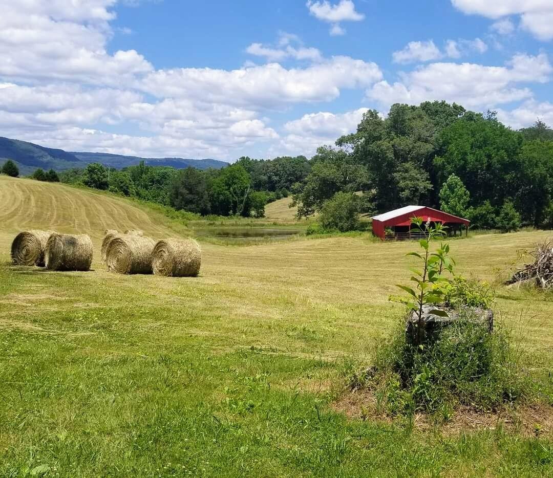 919 John Burch Road West Dunlap, TN 37327 - Photo 45 of 66