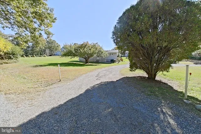 a view of an outdoor space with trees