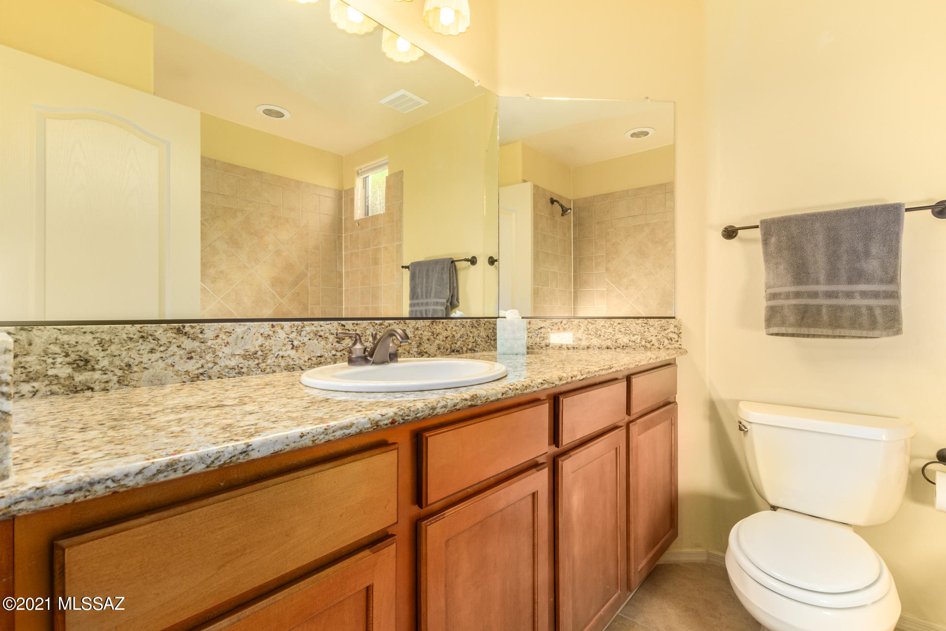 180 East Spring Sky Street Tucson, AZ 85737 - Photo 19 of 27