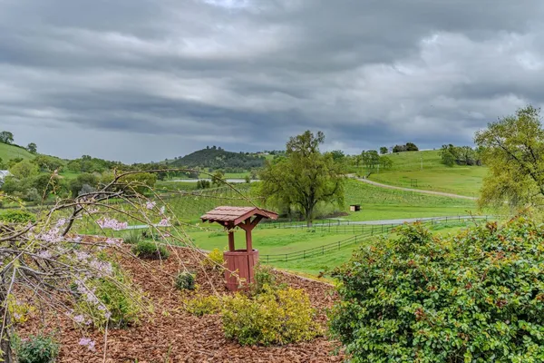 $2,450,000 | 11195 Vintage Road, Ione, CA 95640