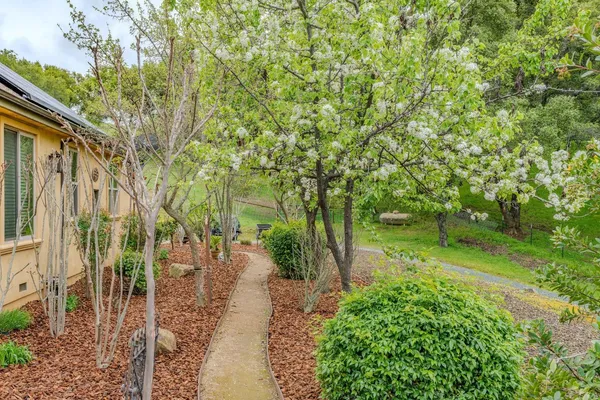 $2,450,000 | 11195 Vintage Road, Ione, CA 95640