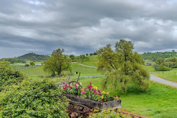 $2,450,000 | 11195 Vintage Road, Ione, CA 95640