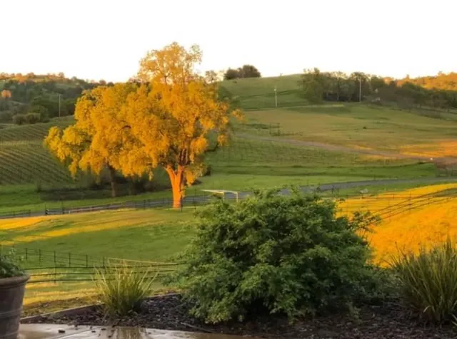 a en suite bathroom with a granite countertop sink and a mirror