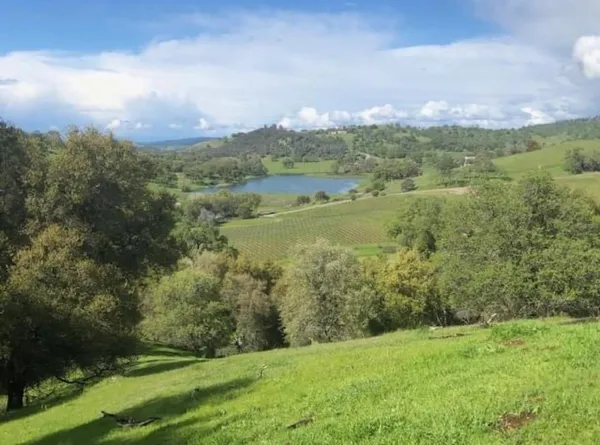 a living room with furniture a large window and a fireplace