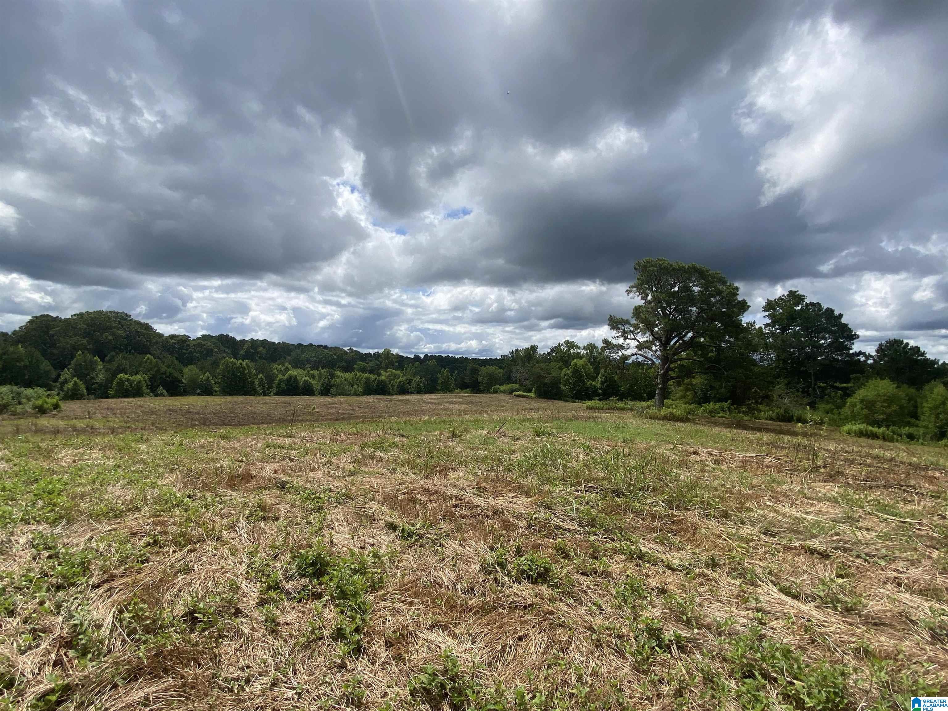 Buck Road, Unit 43 Cleveland, AL 35049 - Photo 6 of 17