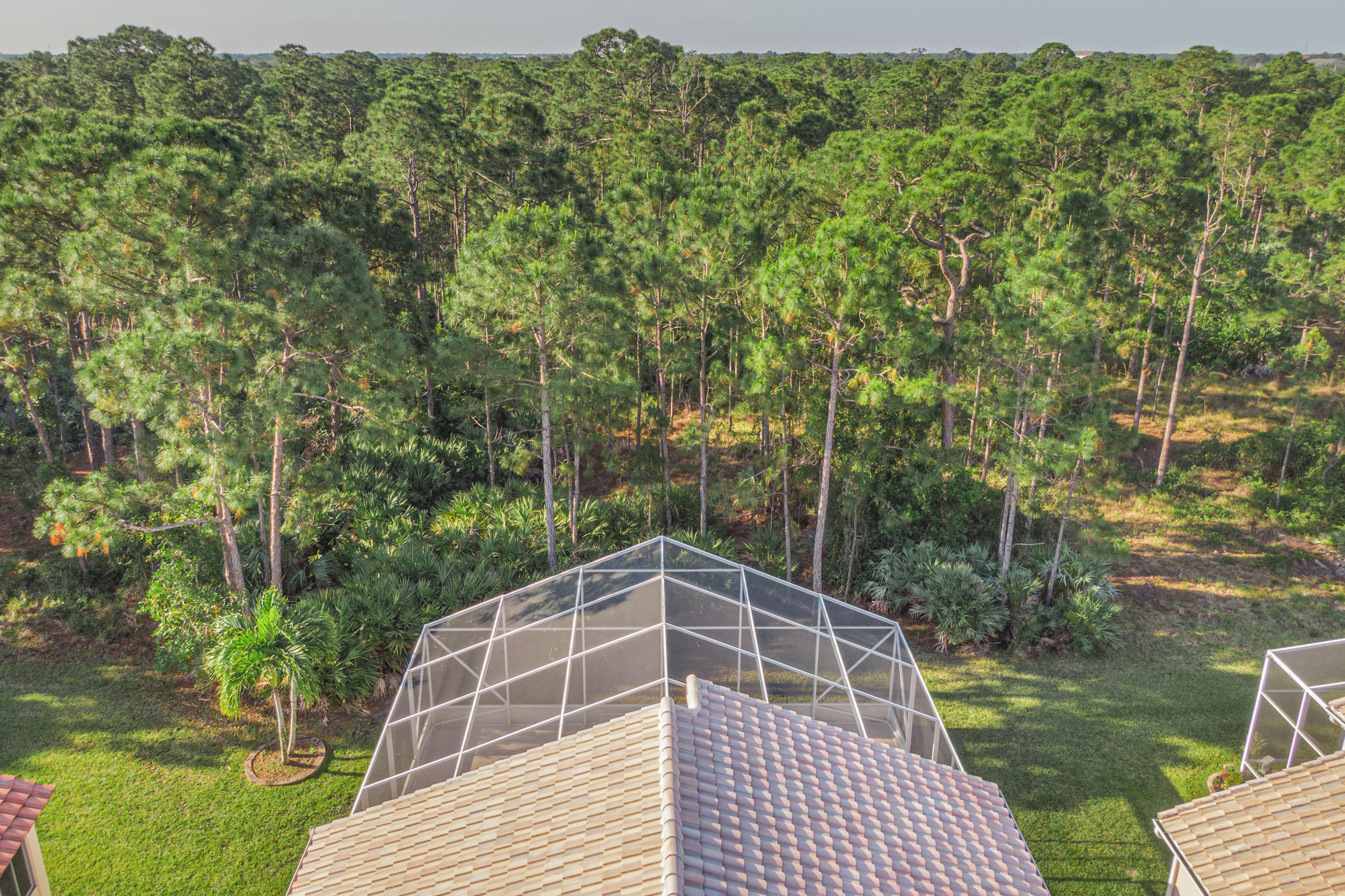 325 Springview Loop Port St. Lucie, FL 34986 - Photo 23 of 62 View into the Preserve