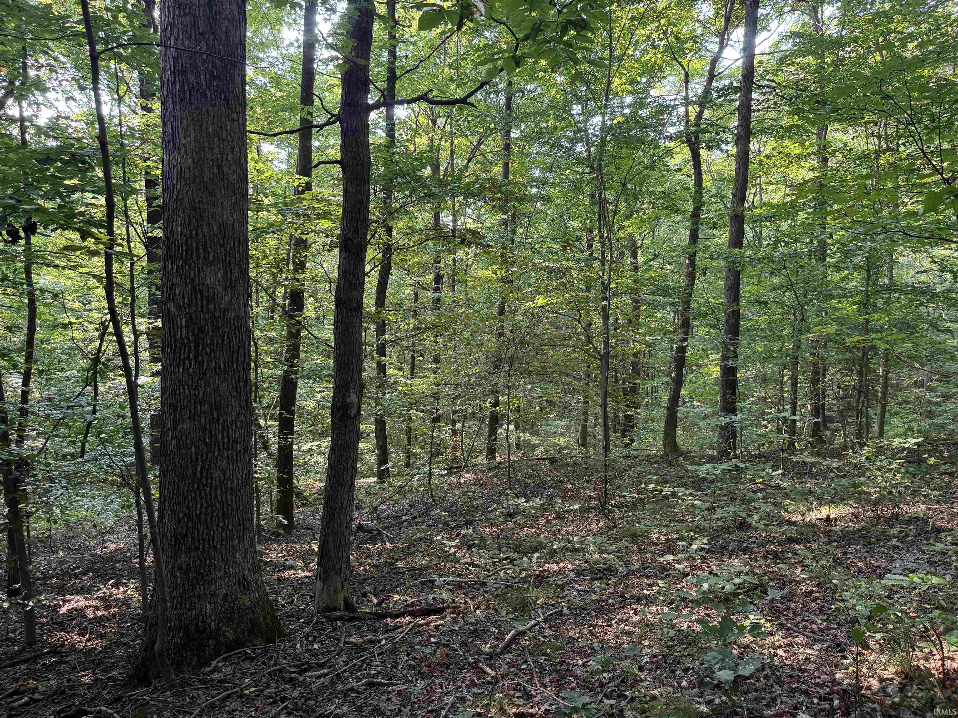Brushy Fork Road Tell City, IN 47586 - Photo 24 of 47 Gallery Image 24
