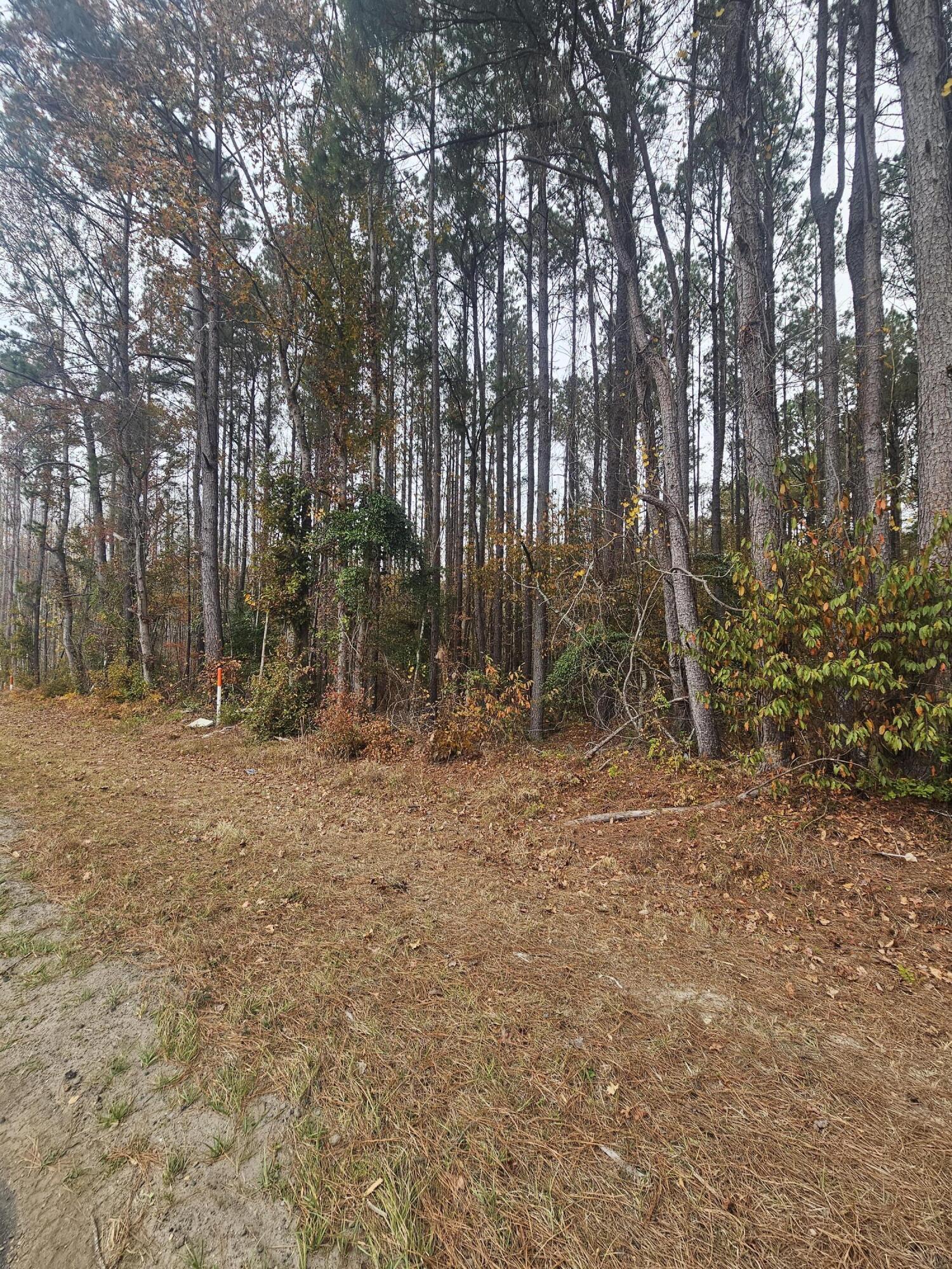 0 Norway Road Orangeburg, SC 29115 - Photo 4 of 5