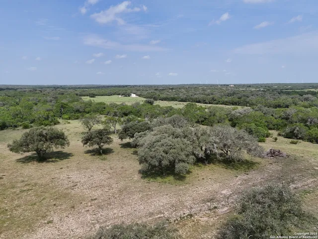 a view of some trees in the field