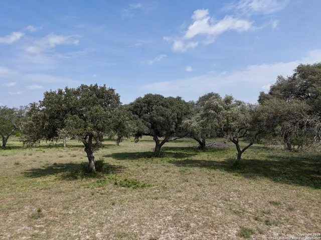 a view of dirt field with trees