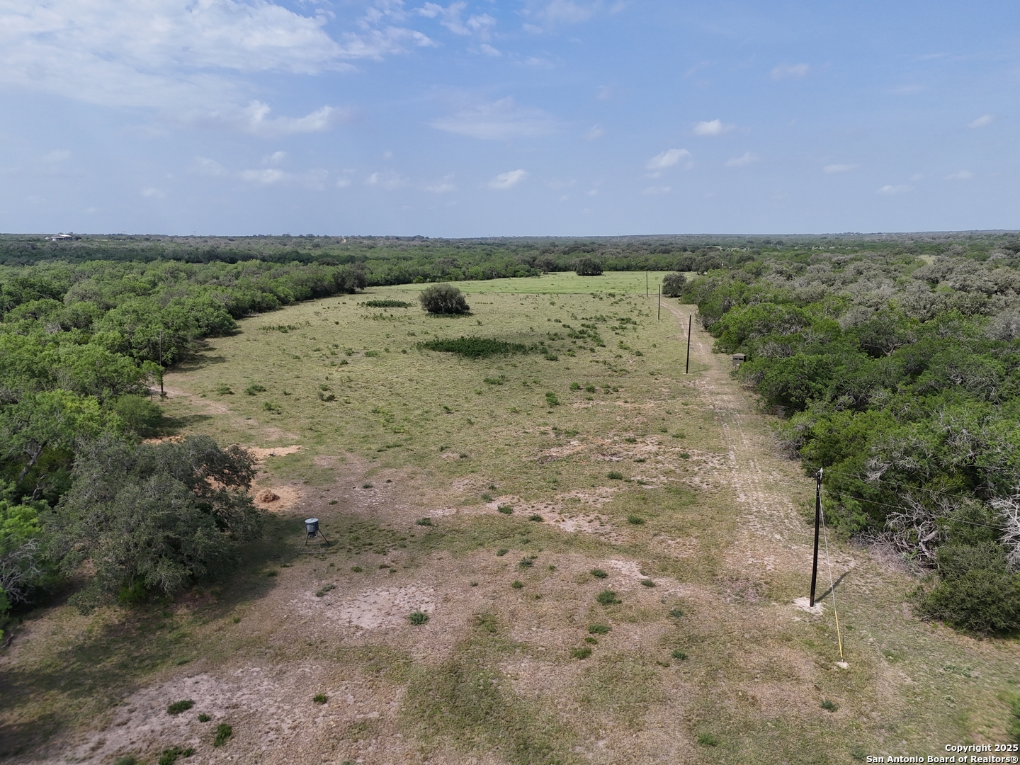 4552 Mineral Cemetery Road Beeville, TX 78102 - Photo 25 of 40 a view of a field with trees in background