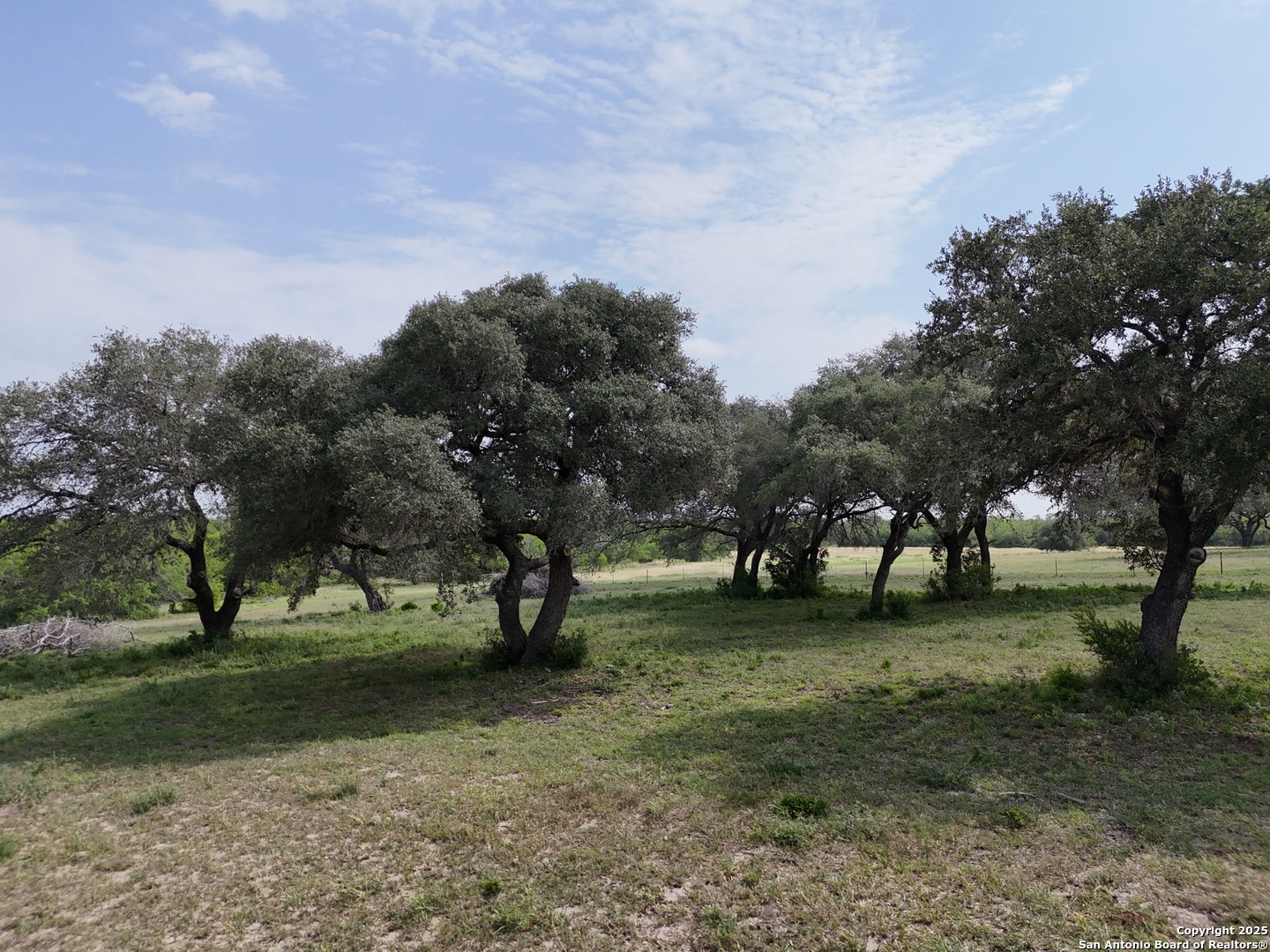 4552 Mineral Cemetery Road Beeville, TX 78102 - Photo 28 of 39