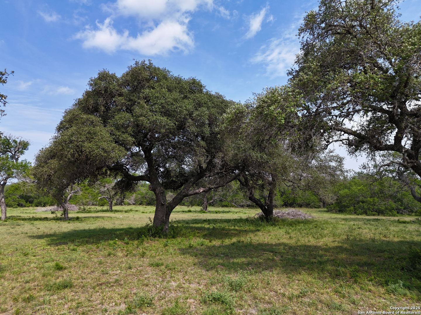 4552 Mineral Cemetery Road Beeville, TX 78102 - Photo 30 of 40 a view of a yard