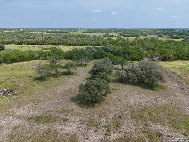 a view of a field with lots of trees