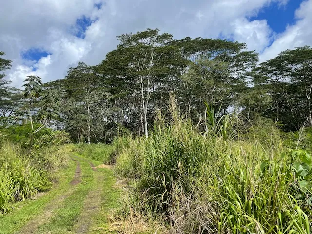 $325,000 | Lot 19-a-1, Lot 19-a-1, Keaau, HI 96749