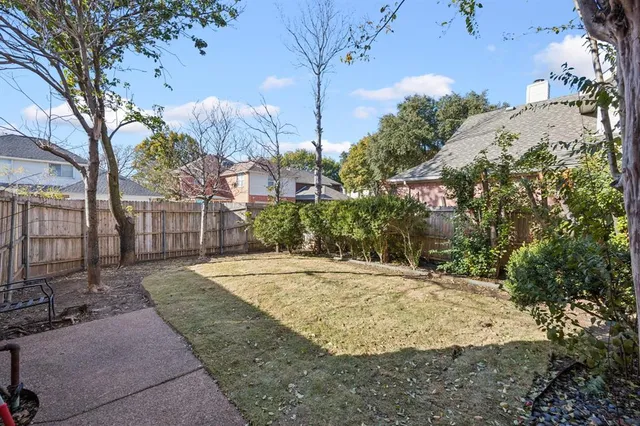 a view of a yard with plants and trees