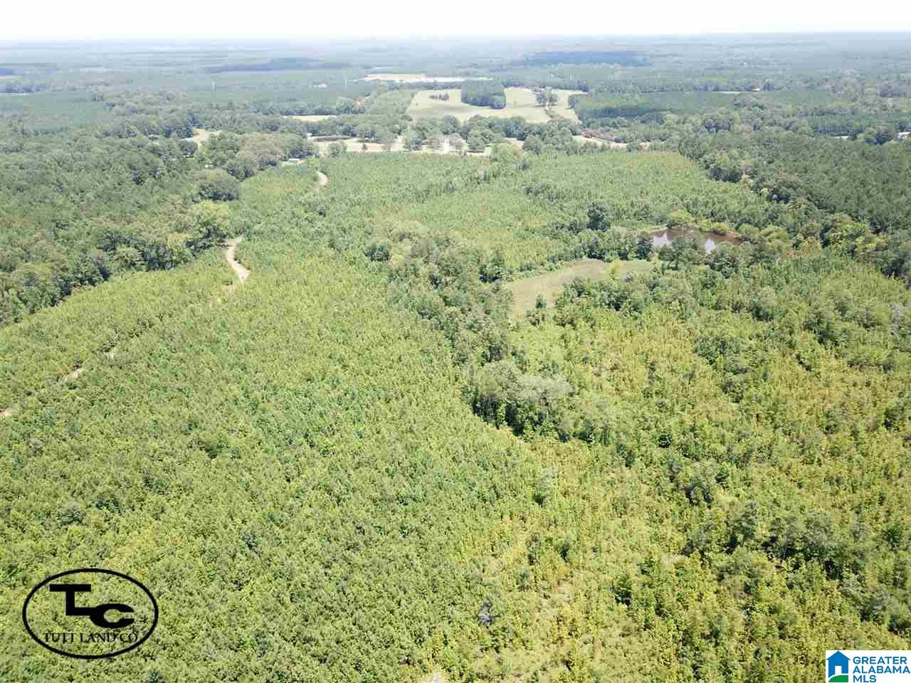 43 Highway, Unit CALVARY Demopolis, AL 36732 - Photo 8 of 9