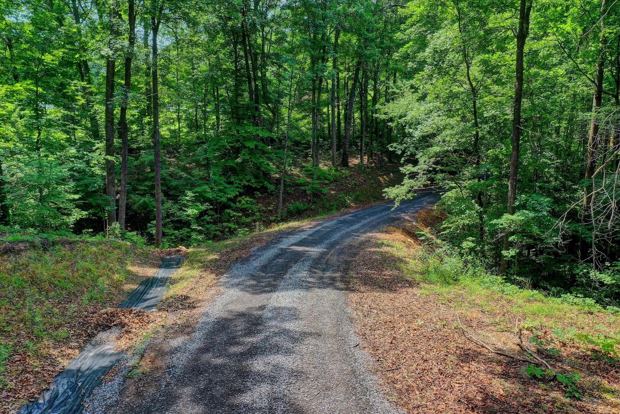 218 County Road, Unit 38 Riceville, TN 37370 - Photo 70 of 70 DSC_6000