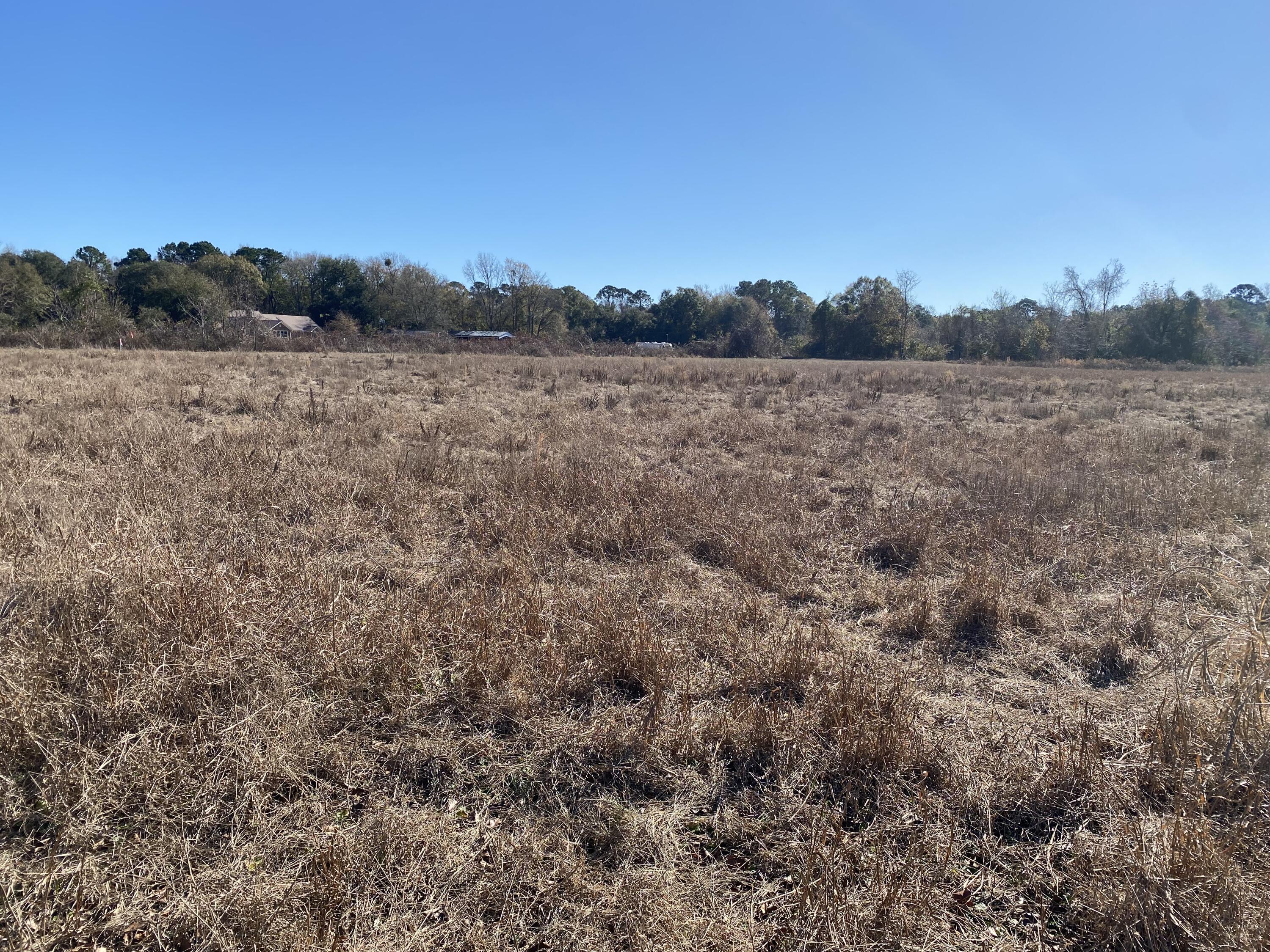 4798 Reggie Road Johns Island, SC 29455 - Photo 2 of 4 IMG_0933