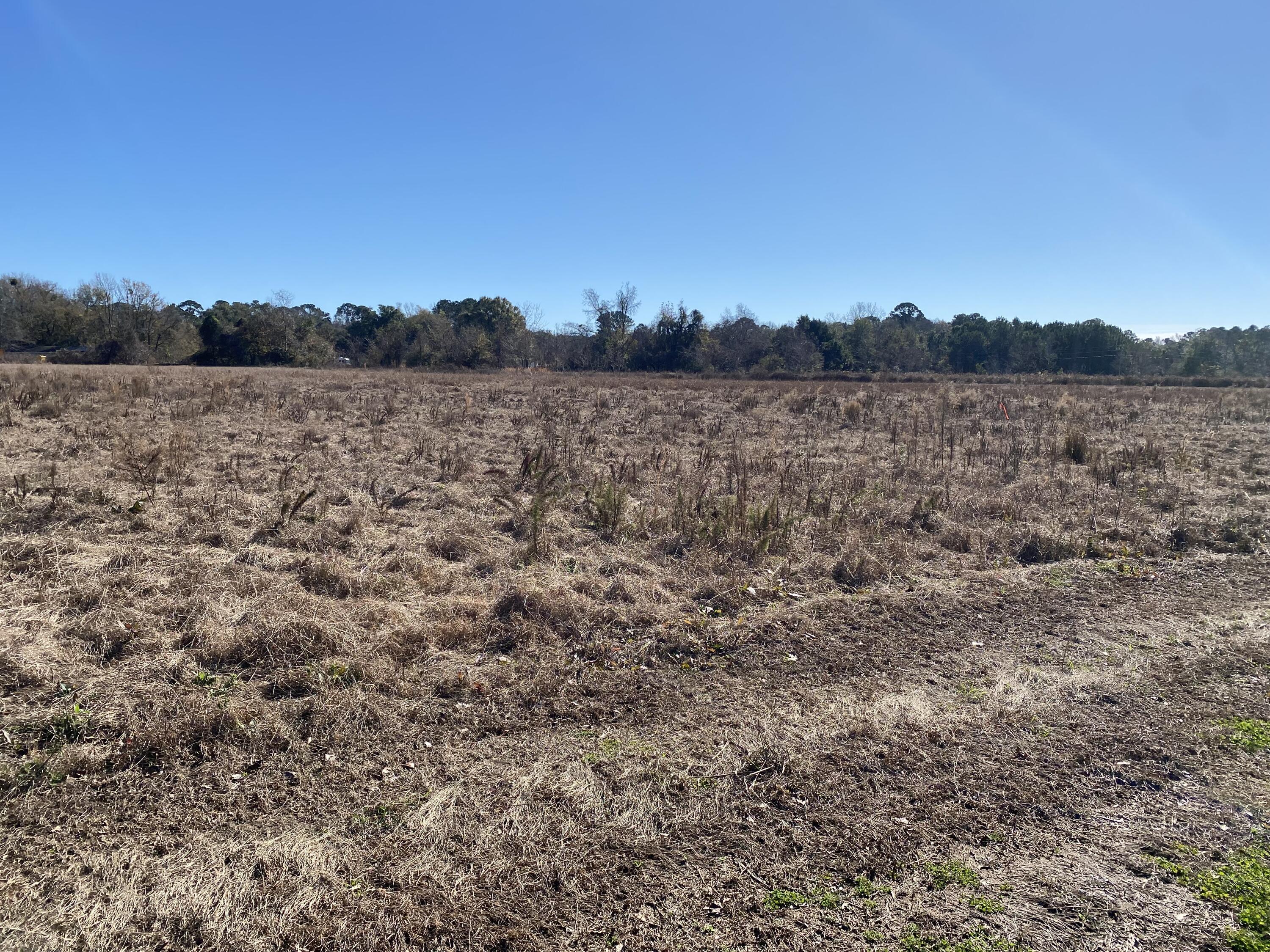 4798 Reggie Road Johns Island, SC 29455 - Photo 4 of 4 IMG_0935